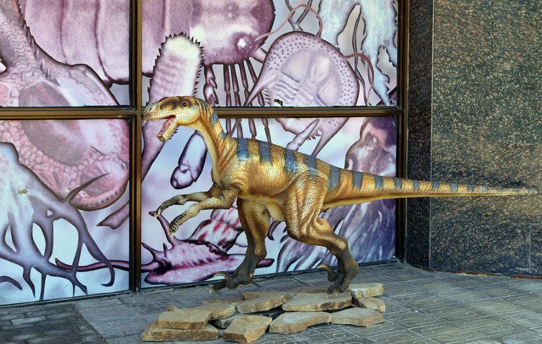 Государственный Дарвиновский музей Государственный Дарвиновский музей