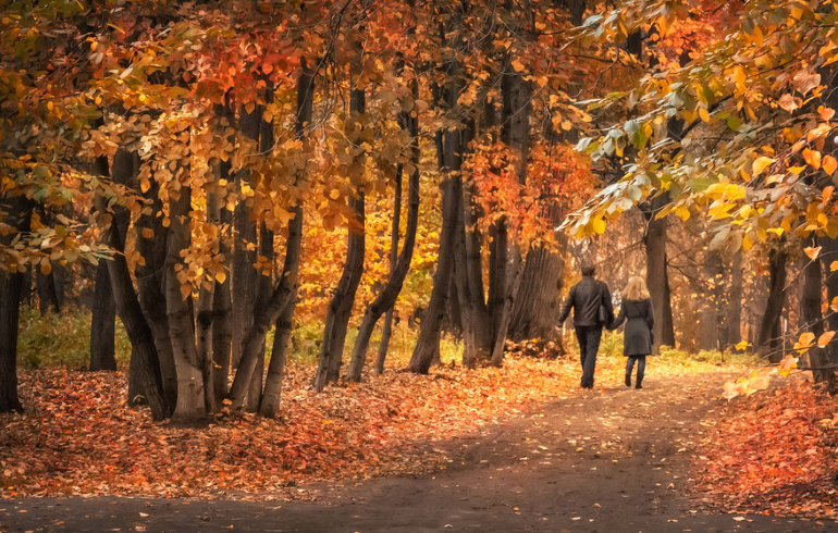 Нескучный сад в Москве Нескучный сад в Москве