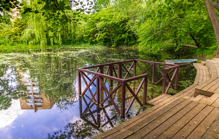 Ботанический сад МГУ имени М. В. Ломоносова «Аптекарский огород» Ботанический сад МГУ имени М. В. Ломоносова «Аптекарский огород»